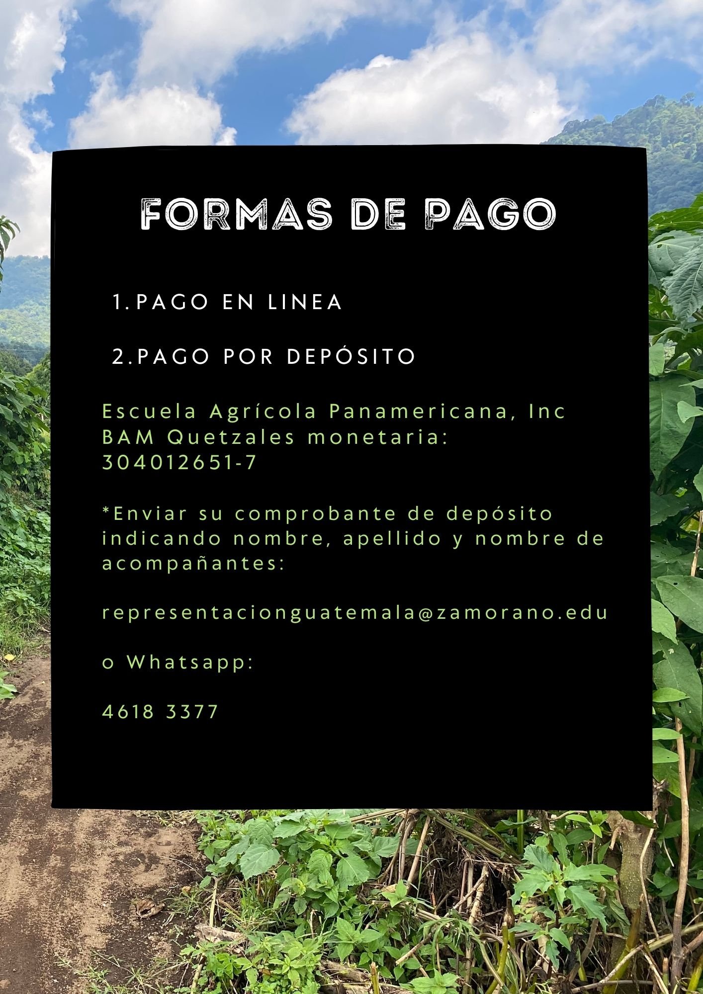 formas de pago